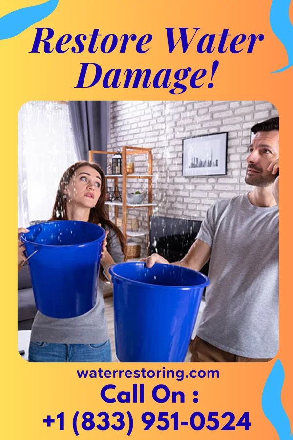 water restoration Power Sewage Cleanup Experts Seminole Manor